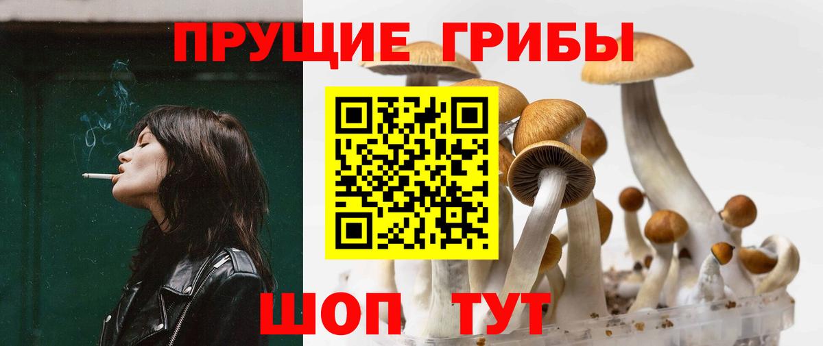 где купить наркотик  Галлюциногенные грибы Magic Shrooms  Вход с VPN  Коряжма  Галлюциногенные грибы Psilocybe 